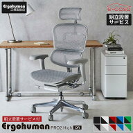 レビュー特典あり 組立設置付 エルゴヒューマン プロ2 Ergohuman Pro2 在宅ワーク ハイタイプ メッシュモ…