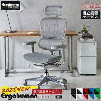 楽天市場】エルゴヒューマンベーシック ハイタイプの通販