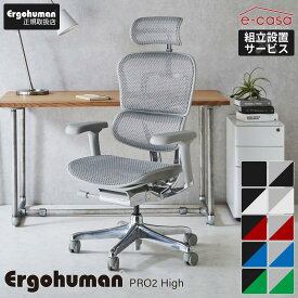 新型 レビュー特典あり 組立設置付 エルゴヒューマン プロ2 Ergohuman Pro2 在宅ワーク ハイタイプ メッシュモデル 人気 正規品 オフィスチェア ゲーミングチェア パソコンチェア デスクチェア EHP2-HAM 関家具 正規代理店