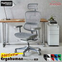 2025年新型 レビュー特典あり エルゴヒューマン プロ2 Ergohuman Pro2 在宅ワーク ハイタイプ メッシュモデル 人気 正規品 オフィスチェア ゲーミングチェア パソコンチェア デスクチェア EHP2-HAM-DR 関家具 正規代理店