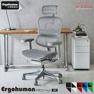 2025年新型 レビュー特典あり エルゴヒューマン プロ2 Ergohuman Pro2 在宅ワーク ハイタイプ メッシュモ…