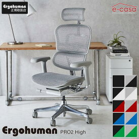 新型 レビュー特典あり エルゴヒューマン プロ2 Ergohuman Pro2 在宅ワーク ハイタイプ メッシュモデル 人気 正規品 オフィスチェア ゲーミングチェア パソコンチェア デスクチェア ワークチェア EHP2-HAM 関家具 正規代理店