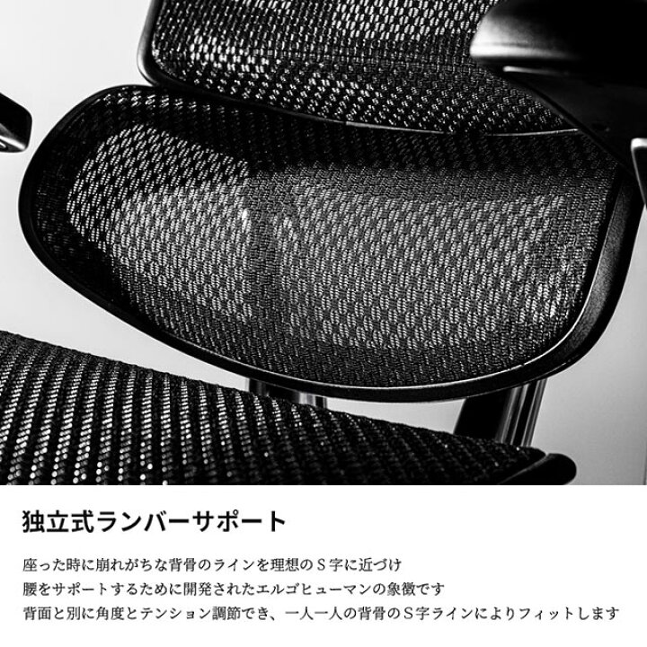 楽天市場】2025年新型 レビュー特典あり エルゴヒューマン プロ2 