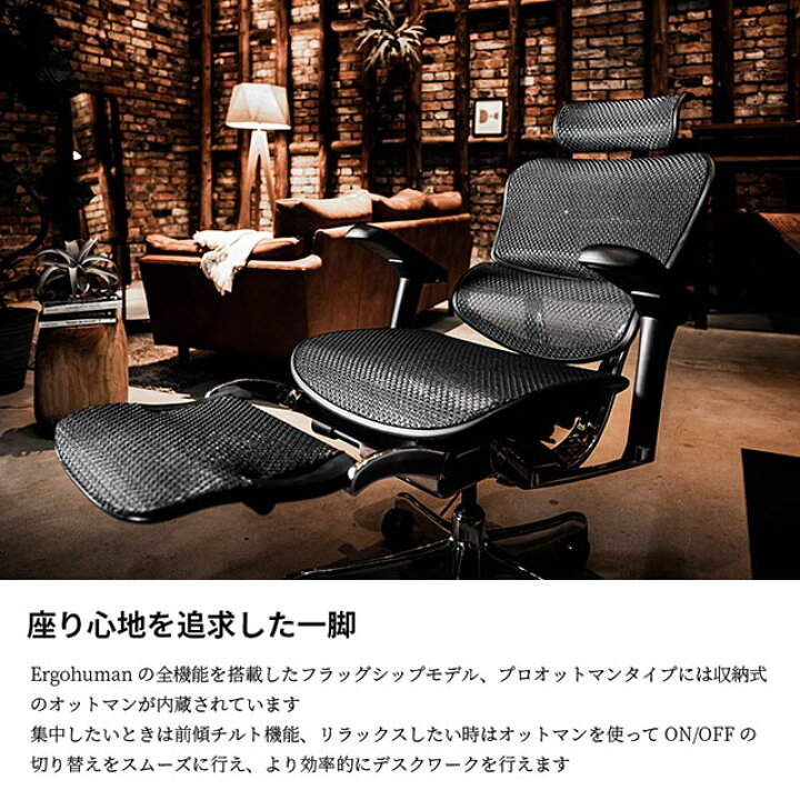 楽天市場】新型 レビュー特典あり エルゴヒューマン プロ2 Ergohuman 