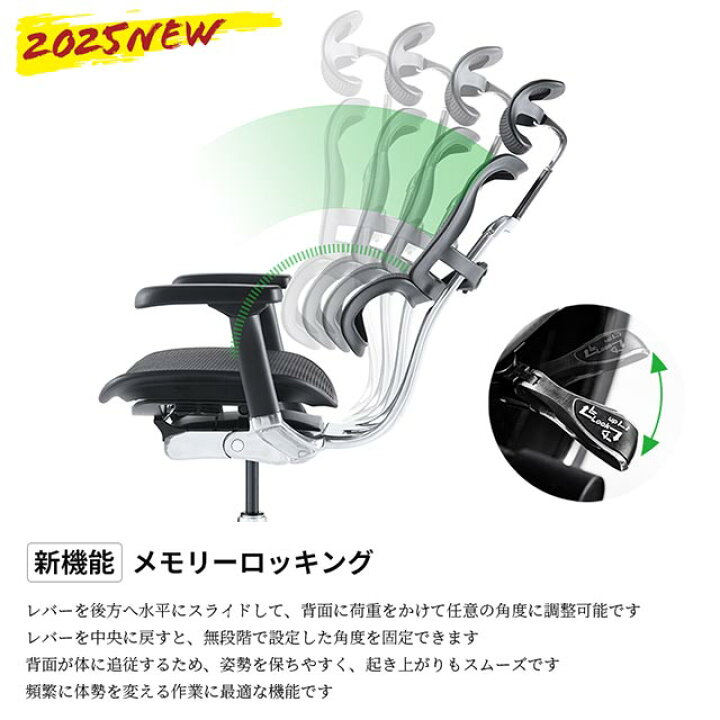 楽天市場】2025年新型 レビュー特典あり エルゴヒューマン プロ2 