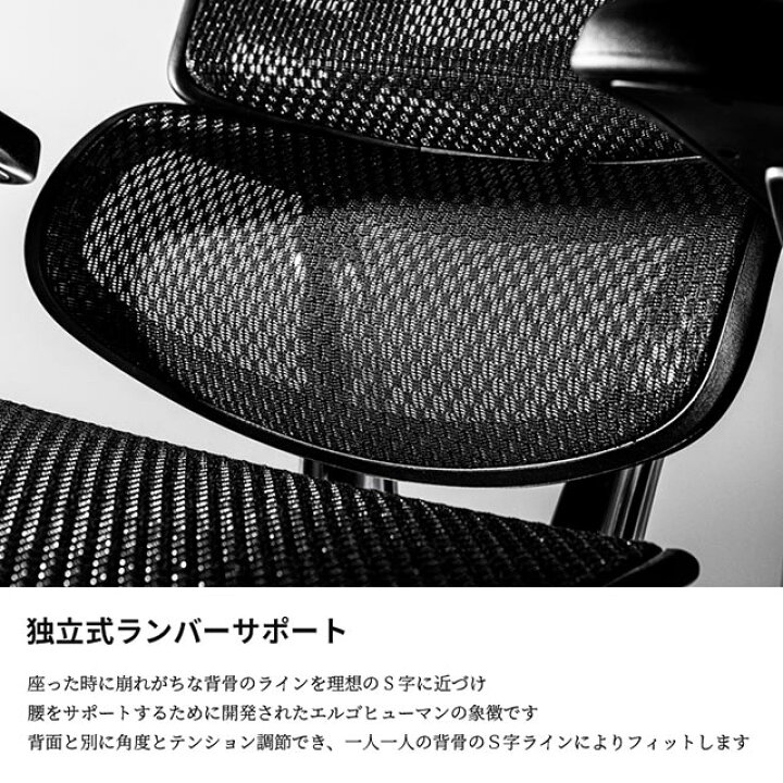 楽天市場】2025年新型 レビュー特典あり エルゴヒューマン プロ2 