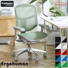 新型 エルゴヒューマン エンジョイ2 Ergohuman Enjoy2 在宅ワーク ロータイプ メッシュモデル 人気 正規品 オフィスチェア ゲーミングチェア パソコンチェア デスクチェア ワークチェア テレワーク EJ2-LAM 関家具 正規代理店