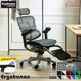 2026年新型 レビュー特典あり エルゴヒューマン プロ2 Ergohuman Pro2 ottoman オットマン 在宅ワーク ハイタイプ人気 メッシュ 正規品 オフィスチェア ゲーミングチェア EHP2-LPL-5D-DR 関家具 正規代理店