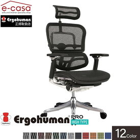 【即納カラー有】エルゴヒューマン プロ Ergohuman Pro EHP‐HAM オフィスチェア 在宅ワーク パソコンチェア ハイタイプ メッシュモデル 人気 おしゃれ 正規品