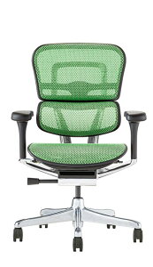 2025NV^ r[T GSq[} v2 Ergohuman Pro2 ݑ[N [^Cv bVf lC Ki ItBX`FA Q[~O`FA p\R`FA fXN`FA EHP2-LAM-D