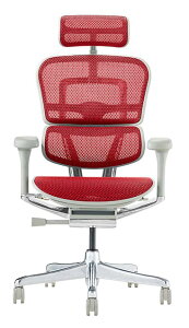 2025NV^ r[T gݒut GSq[} v2 Ergohuman Pro2 ݑ[N nC^Cv bVf lC Ki ItBX`FA Q[~O`FA p\R`FA EHP2-HAM-DR 