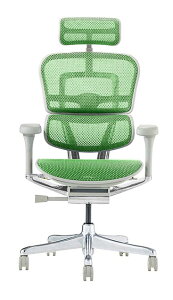 2025�N�V�^ ���r���[���T���� �G���S�q���[�}�� �v��2 Ergohuman Pro2 �ݑ�[�N �n�C�^�C�v ���b�V�����f�� �l�C ���K�i �I�t�B�X�`�F�A �Q�[�~���O�`�F�A �p�\�R���`�F�A �f�X�N�`�F�A EHP2-HAM-D