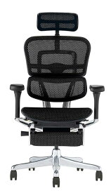 レビュー特典あり エルゴヒューマン プロ2 Ergohuman Pro2 ottoman オットマン 在宅ワーク ハイタイプ人気 メッシュ 正規品 オフィスチェア ゲーミングチェア パソコンチェア EHP2-LPL-DR 関家具 正規代理店