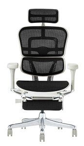 2025�N�V�^ ���r���[���T���� �G���S�q���[�}�� �v��2 Ergohuman Pro2 ottoman �I�b�g�}�� �ݑ�[�N �n�C�^�C�v�l�C ���b�V�� ���K�i �I�t�B�X�`�F�A �Q�[�~���O�`�F�A �p�\�R���`�F�A EHP2-LPL-DR ��