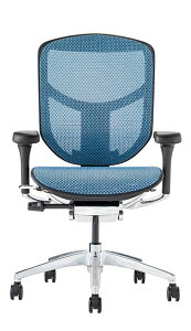 新型 エルゴヒューマン エンジョイ2 Ergohuman Enjoy2 在宅ワーク ロータイプ メッシュモデル 人気 正規品 オフィスチェア ゲーミングチェア パソコンチェア デスクチェア ワークチェア テレワー