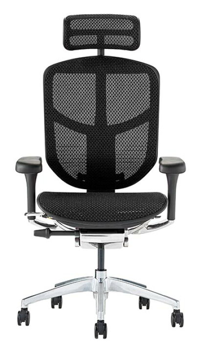 楽天市場】新型 エルゴヒューマン エンジョイ2 Ergohuman Enjoy2 在宅 