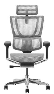 エルゴヒューマン フィット2 Ergohuman FIT2 オットマン付 在宅ワーク ハイタイプ人気 メッシュ 正規品 オフィスチェア ゲーミングチェア パソコンチェア デスクチェア ワークチェア テレワーク