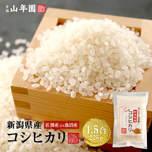 y Mtgz V Y܂͍nYȂ RVqJ 1.5(225g) Pꌴ Vn  Mtg v[g  hV̓ v`Mtg  2025 j Ԃ j