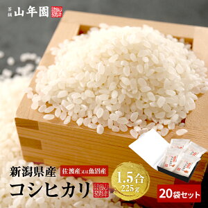 y Mtgz V Y܂͍nYȂ RVqJ 1.5(225g)×20܃Zbg Pꌴ Vn  Mtg v[g  hV̓ v`Mtg  2025 j 
