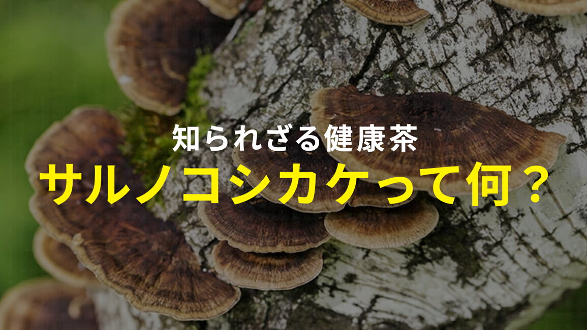 楽天市場 | 巣鴨のお茶屋さん 山年園 - 知られざる健康茶 