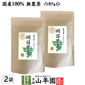 【国産 無農薬 100%】明日葉茶 40g×2袋セット 伊豆諸島で採れた明日葉茶 ノンカフェイン 送料無料 明日葉 アシタバ茶 あしたば茶 明日葉粒 サプリ 健康茶 妊婦 ダイエット セット ギフト プレゼント 母の日 父の日 プチギフト お茶 2024 内祝い