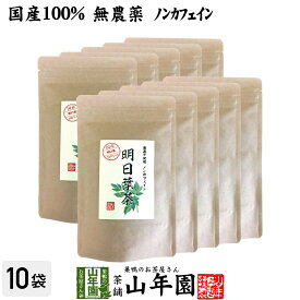 【国産 無農薬 100%】明日葉茶 40g×10袋セット 伊豆諸島で採れた明日葉茶 ノンカフェイン 送料無料 明日葉 アシタバ茶 あしたば茶 明日葉粒 サプリ 健康茶 妊婦 ダイエット セット ギフト プレゼント 母の日 父の日 プチギフト お茶 2024 内祝い