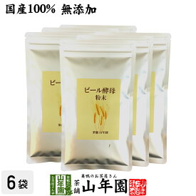 【国産100%】ビール酵母 粉末 無添加 120g×6袋セット 送料無料 ダイエット サプリ ギフト プレゼント サプリメント 麦酒酵母 大麦 麦芽 内祝い お返し 父の日 お中元 プチギフト 2024 お茶 スーパービール酵母z 男性 女性 父 母 贈り物 お土産 お祝い 誕生日