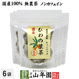 【国産100%】びわ茶 びわの葉茶 ティーパック 1.5g×20パック×6袋セット 宮崎産　鹿児島県産 無農薬 ノンカフェイン 送料無料 ティーバッグ 枇杷茶 枇杷の葉 国産 ビワ ビワの葉 高級 ギフト プレゼント 父の日 お中元 プチギフト お茶 2024 内祝い お返し