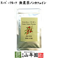【無農薬】カムカムパウダー 40g ペルー産 粉末 ノンカフェイン 送料無料 ビタミンC ヨーグルト スムージ…