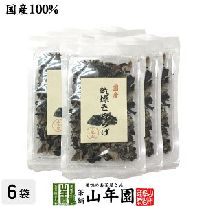 yYz炰 40g×6܃Zbg LNQ ؎ Mtg v[g Ε Ε v`Mtg  j 2025