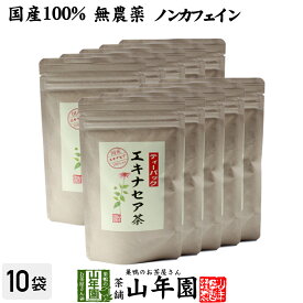 【国産 100%】エキナセア茶 2g×10パック×10袋セット ノンカフェイン 鳥取県または熊本県産 無農薬 送料無料 ハーブティー エキナセア お茶 エキナセアティー 健康茶 妊婦 ダイエット サプリ 苗 ギフト プレゼント 母の日 父の日 プチギフト 2024 内祝い お返し