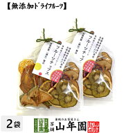 【無添加ドライフルーツ】フルーツチップス 60g×2袋セット送料無料 愛媛県産の果実と長野県産りんごを使…
