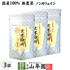 【国産 無添加 100%】玄米珈琲 スティック 2g×12本×3袋セット 特A北海道産ななつぼし ノンカフェイン 送料無料 玄米コーヒー 母乳 赤ちゃん 玄米茶 苗 アイスコーヒー 粉末 パウダー 健康茶 ダイエット ギフト プレゼント 母の日 父の日 プチギフト お茶 2024