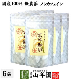 【国産 無添加 100%】玄米珈琲 スティック 2g×12本×6袋セット 特A北海道産ななつぼし ノンカフェイン 送料無料 玄米コーヒー 母乳 赤ちゃん 玄米茶 苗 アイスコーヒー 粉末 パウダー 健康茶 ダイエット ギフト プレゼント 母の日 父の日 プチギフト お茶 2024