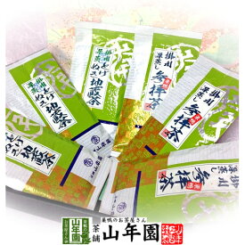 【お茶 日本茶 ギフト】【掛川茶詰め合わせセット】合計600gセット 参拝茶100g×3本、とげぬき地蔵茶×3本送料無料 父の日 お中元 プチギフト お茶 2024 静岡茶 掛川茶 緑茶 ギフト プレゼント 高級 名入れ 内祝い お返し 香典返し 誕生日 定年退職 法要 通販