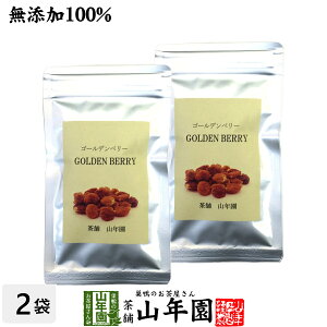 苗 ゴールデンベリーの人気商品 通販 価格比較 価格 Com