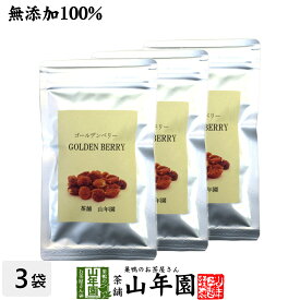 【無添加100%】ゴールデンベリー 100g×3袋セット 送料無料 ダイエット ほおずき インカベリー サプリ ドライフルーツ スープ スムージー スーパーフード 苗 セット ギフト プレゼント 父の日 お中元 プチギフト お茶 2024 内祝い