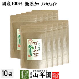 【国産100%】ゴーヤ茶 ゴーヤー茶 宮崎県産 1.5g×20パック×10袋セット 送料無料 ティーパック 健康茶 ティーバッグ ギフト プレゼント 内祝い お返し 母の日 父の日 プチギフト 2024 お茶 男性 女性 父 母 贈り物 お土産 お祝い 誕生日 祖父 祖母 お礼