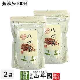 【無添加 100%】ハブ茶 ケツメイシ種 500g×2袋セット 送料無料 インド産 エビスグサ はぶ茶 決明子 健康茶 ダイエット ギフト プレゼント 母の日 父の日 プチギフト お茶 2024 内祝い お返し 通販