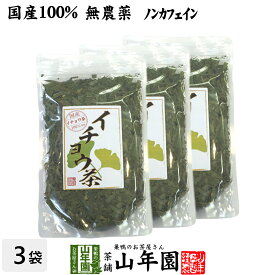 【国産 100%】イチョウ茶 イチョウ葉 70g×3袋セット 無農薬 ノンカフェイン 送料無料 宮崎県産 銀杏茶 いちょう茶 イチョウ葉茶 イチョウ葉エキス サプリメント 妊婦 ダイエット ギフト プレゼント 母の日 父の日 プチギフト お茶 2024 内祝い お返し