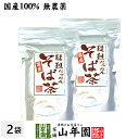 【国産無農薬】韃靼そば茶 北海道産 ノンカフェイン 300g×2袋セット 送料無料 食べられる韃靼そば茶 韃靼蕎麦茶 韃靼ソバ茶 内祝い 贈り物 ギフト ビタミン 健康茶 だったんそば茶 男性 女性 お中元 敬老の日 プチギフト お茶 2025 プレゼント 香典返し