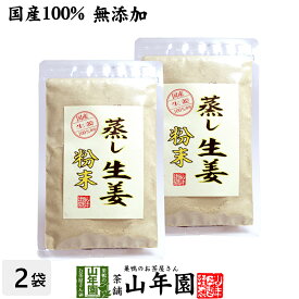 【国産 無添加 100%】【30分間蒸した生姜のみ使用】蒸し生姜 粉末 45g×2袋セット 熊本県産 送料無料 蒸ししょうが 蒸しショウガ パウダー 粉末 健康 ダイエット ぽかぽか ギフト プレゼント 母の日 父の日 プチギフト お茶 内祝い 2024