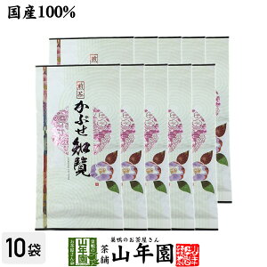 {   t mԂ 100g×10܃Zbg  Β m Mtg Ε Ε v`Mtg  2025 j v[g j    蕨 TԂ z Ai j