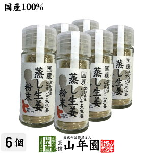 【国産100%】蒸し生姜粉末 7g×6個セット 高知県産とさいち大生姜送料無料 蒸ししょうが 蒸しショウガ パウダー 粉末 健康 ダイエット ぽかぽか ギフト プレゼント お歳暮 御歳暮 プチギフト