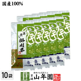 【掛川茶】掛川深蒸し茶100g×10袋セット 送料無料 深蒸し茶 煎茶 国産 茶葉 静岡茶 お茶 緑茶 ギフト 父の日 お中元 プチギフト お茶 2024 内祝い プレゼント 還暦祝い 男性 女性 父 母 贈り物 香典返し お土産 おみやげ お祝い 誕生日 祖母 おじいちゃん