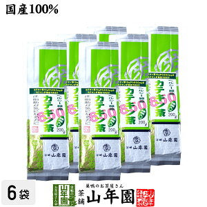 JeLΒ JeL650mg JeL200g×6܃Zbg  ZxJeL Ε Ε v`Mtg  2025 Mtg v[g j җj j    蕨 TԂ 
