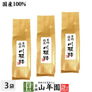 【国産100%】【山年園限定】川根路茶 日本茶 茶葉 300g×3袋セット 大容量 送料無料 巣鴨銘茶 静岡県川根産 緑茶 ダイエット セット ギフト プレゼント お歳暮 御歳暮 プチギフト お茶 2025 内祝
