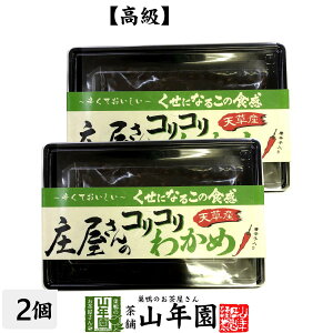 yz̃RR킩 160g×2܃Zbg ώ   ӂ肩 ܂  ̍z Mtg v[g  hV̓ v`Mtg  2025 j