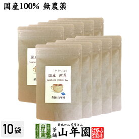 【国産 100%】巣鴨のお茶屋さんの紅茶 2g×15パック×10袋セット ティーパック ティーバッグ 静岡県産 送料無料 茶葉 プチギフト 無糖 苗 健康茶 ダイエット セット ギフト プレゼント 父の日 お中元 プチギフト お茶 2024 内祝い お返し