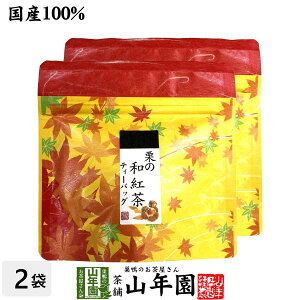 yY100%zI̘ag eB[pbN 2g×5×2܃Zbg eB[obO N _CGbg Mtg v[g  hV̓ v`Mtg  j `C 2025